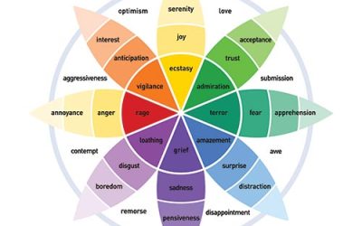 How Do You Name Your Emotions?