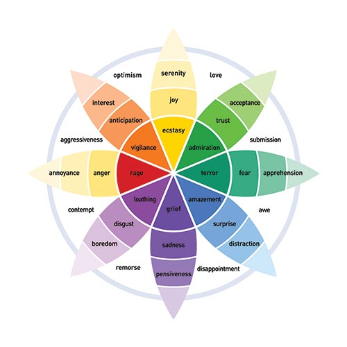 How Do You Name Your Emotions?