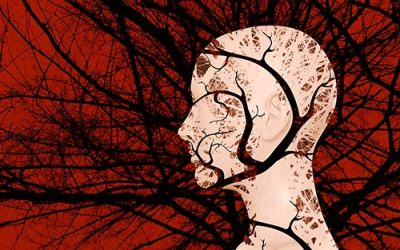 What Happens When We Experience Trauma