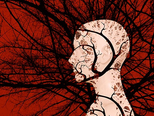 What Happens When We Experience Trauma